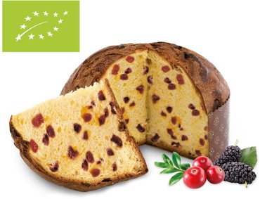 Organic Panettone with Mulberries and Cranberries