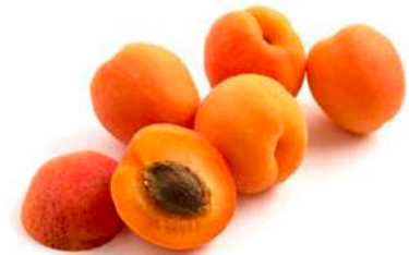 Pellechiella Apricot